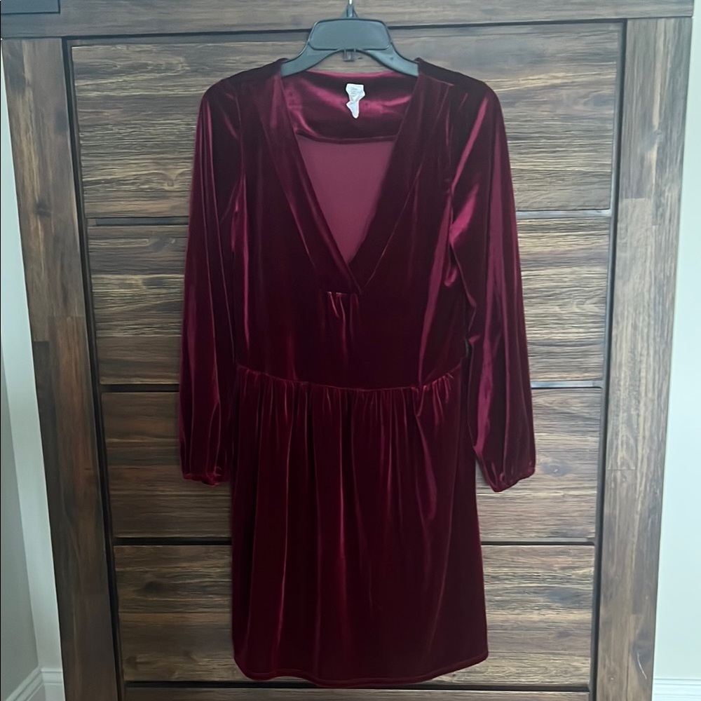 Anthro Burgundy Velvet Dress